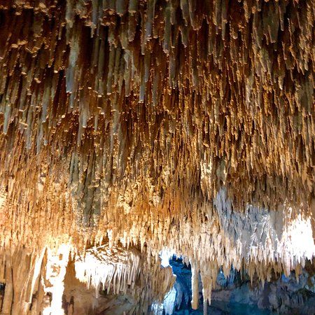 Cenote Jardín del Edén